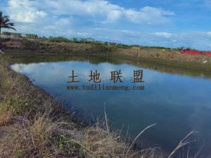 东方30亩养殖鱼塘离海边300米交通便利