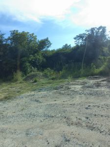 东方东河镇2亩空地临乡道边上转让费30万