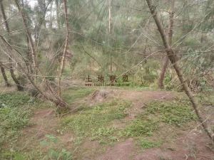 文昌周边1500亩3级林地租金便宜可以十年一付