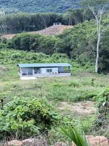 乐东周边48亩林地租金60元/亩/年转让价格便宜