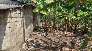 澄迈福山40亩红土短期地出租设施齐全