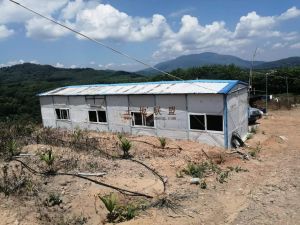 白沙周边100亩林地没有租金转让价格便宜