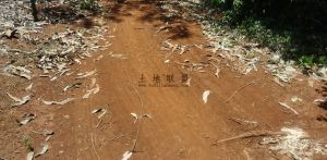 琼海周边32亩种植地没有租金已平整好接手就可种植