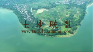 海口南渡江边闲置学校出租环境清幽舒适