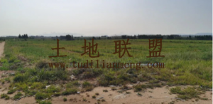 文昌大致坡120亩红土种植地短期出租2年