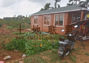 定安黄竹2亩农庄带85平米小木屋别墅转让