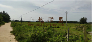 文昌周边240亩农田地出租价格460元/亩/年可分期付款