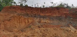 东方周边170亩种植地转让租金便宜土壤肥沃