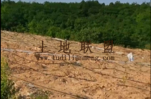 琼中黎母山120亩种植地转让土壤肥沃水源充足