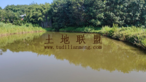 儋州南丰镇6亩种、养殖地出租设施齐全