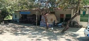 陵水本号周边160亩菠萝蜜园30年合同租金付清设施齐全