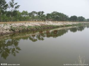 文昌铺前40亩淡水鱼塘出租6年30万设施齐全