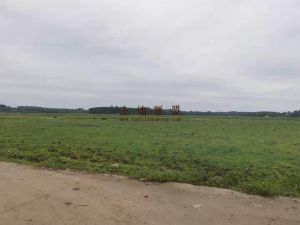 昌江周边5000亩平地种植地出租可以分割