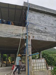 三亚80亩芒果园转让没有租金转让费230万