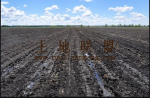 琼中200亩适合种植绿橙、槟榔的黑土壤租金只需120元/亩/年可以一年一付