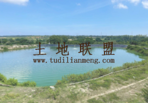 琼海70亩有种植、养殖、养老的地方租金10年一付