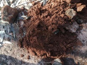 大面积地块福利儋州2600亩林地红土租金360元/亩/年付款两年一付