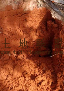 文昌400亩4级林地红土地势平坦租金350元/亩/年