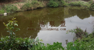 澄迈5.5亩小型养猪场出租设施齐全租金便宜