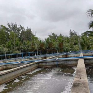 文昌约2亩咸水鱼塘养殖场出租设施齐全接手就可进场