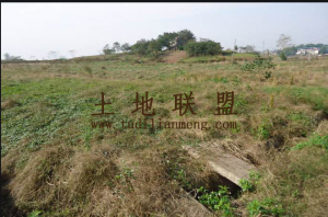 三亚南岛800亩山坡种植地可分割出租价格便宜