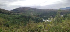 保亭300亩阳光、水源充足种植地租金可以分期付款