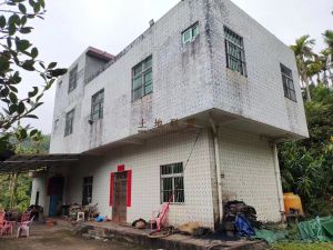 定安农场434亩槟榔园租金120元/亩/年地主急需用钱低价转让