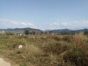 东方160亩林地临近水库边土地平整可以分期付款