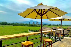 陵水4亩园地环境清幽舒适生活便利