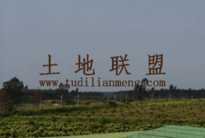 儋州350亩种植地设施齐全租金可以三年一付