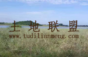 东方160亩挨着水库边4级林地租金便宜