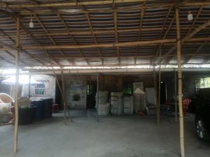 东方75亩龙眼园转让租金110元/亩/年转让价格便宜