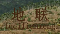 琼海250亩农场地租金150元一亩一年可以更