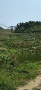 琼中400亩种植地水源充足可分期付款