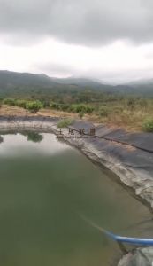 陵水60亩芒果园设施齐全没有租金接手打理就有收益