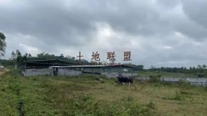 定安6亩养殖地出租设施齐全可以五年一付