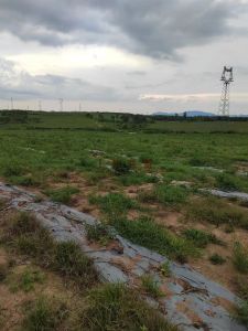 昌江600亩红泥土林地水源充足交通便利