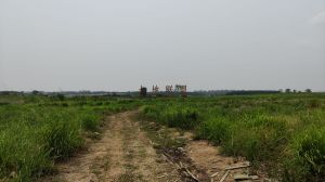 昌江100亩农田地水源充足短期出租