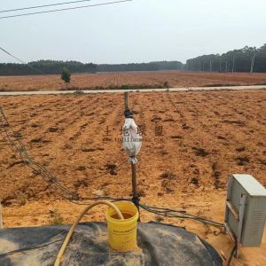 昌江500亩种植地水电设施齐全可直接进场耕种