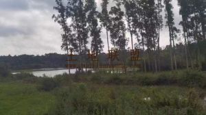 海口龙华区80亩基本农田地短期出租水源充足