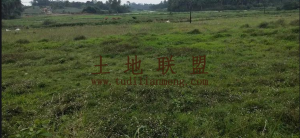 白沙200亩一般耕地短期出租交通便利