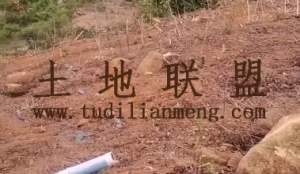 三亚100亩红土林地租金60元/亩/年一年一付