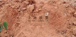 琼山区128亩红土短期种植地水源充足