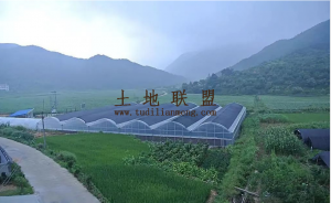 文昌12亩大棚蔬菜基本出租水电设施齐全