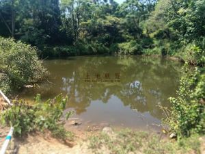 屯昌117亩农场林地租金便宜转让费只需60万