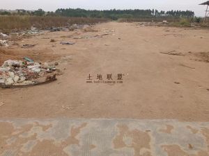 东方1200亩林地邻近水库交通便利