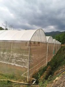 五指山15亩基本农田地出租设施齐全租金年付