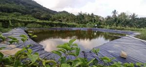 五指山43亩邻河边农田地出租设施齐全交通便利