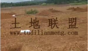 澄迈127亩短期套种地出租水电设施齐全