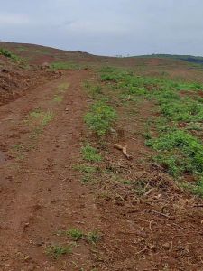 定安360亩红土林地临近水库交通便利